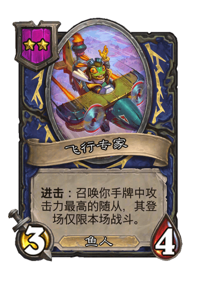 飞行专家